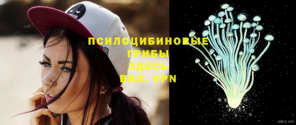 метадон Белокуриха