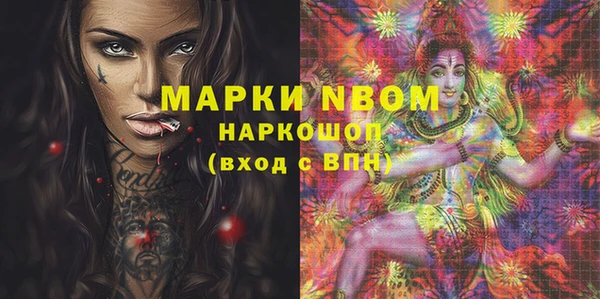 ГАЛЛЮЦИНОГЕННЫЕ ГРИБЫ Новозыбков