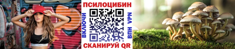 Псилоцибиновые грибы мухоморы  Сковородино 
